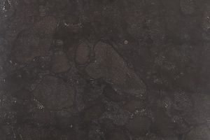 Abalone(Blue Limestone)