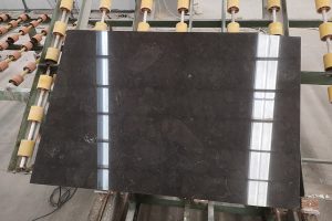 Abalone(Blue Limestone)