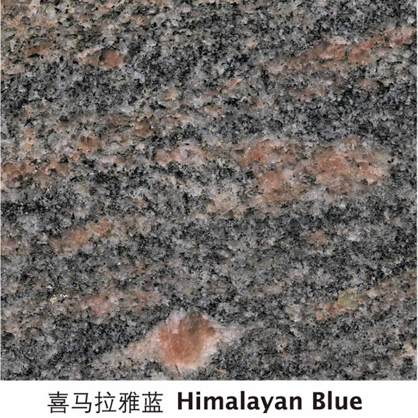 Himalayan Blue